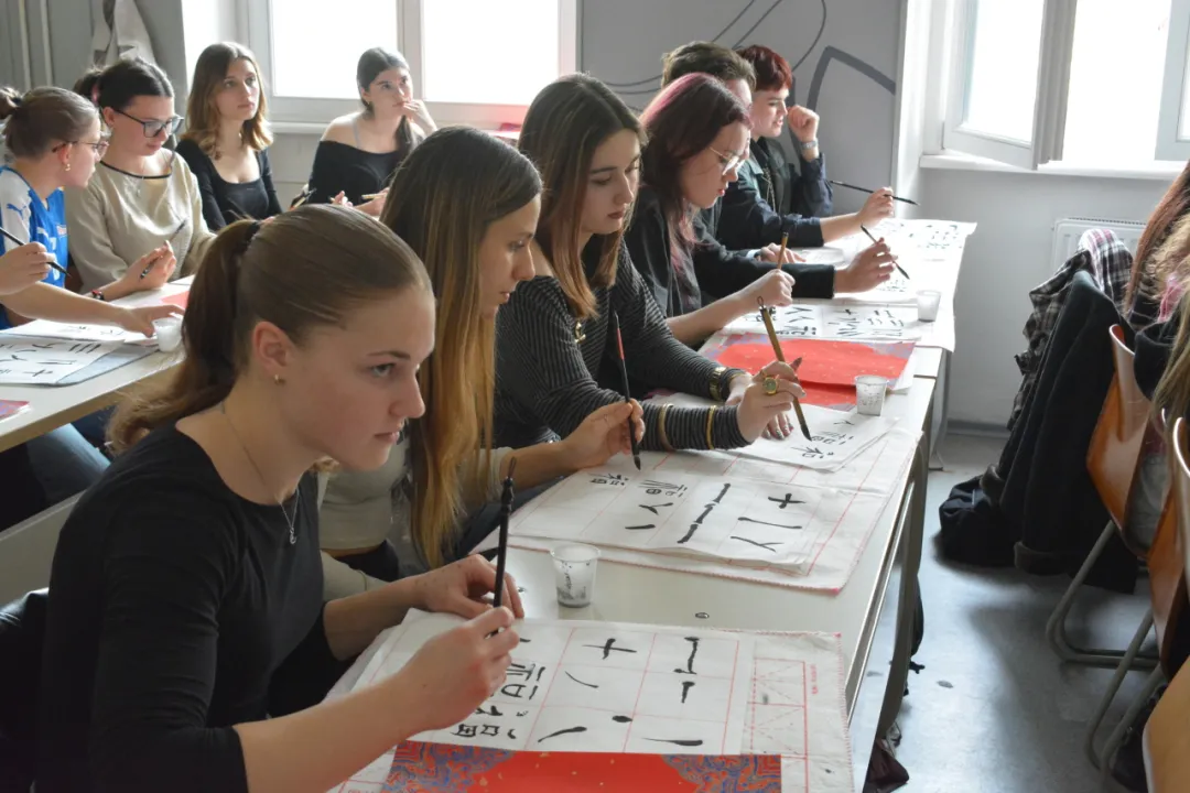 匈牙利佩奇大学中医孔子学院举办中医文化体验活动2 图片