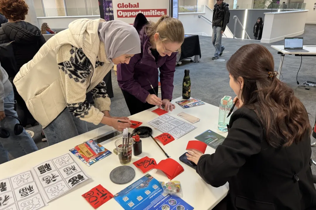 爱尔兰高威大学中医与再生医学孔子学院举办中国武术文化体验工作坊1 图片