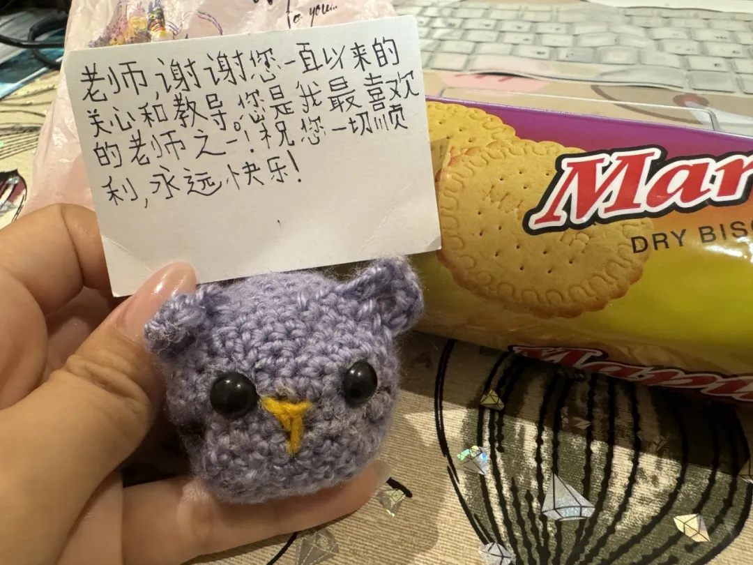 朱丽亲手制作的玩偶 图片